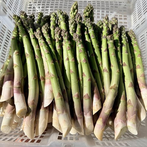 asperge asperge