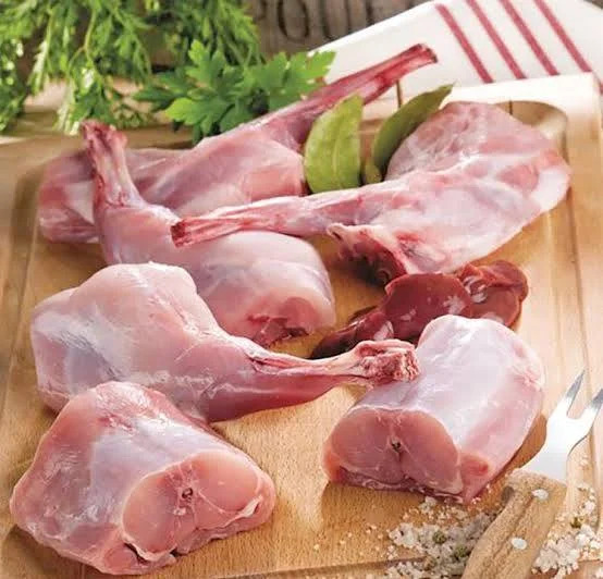 lapin lapin8